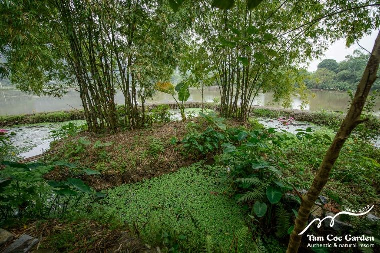 Deluxe Tonkin Garden Bungalow